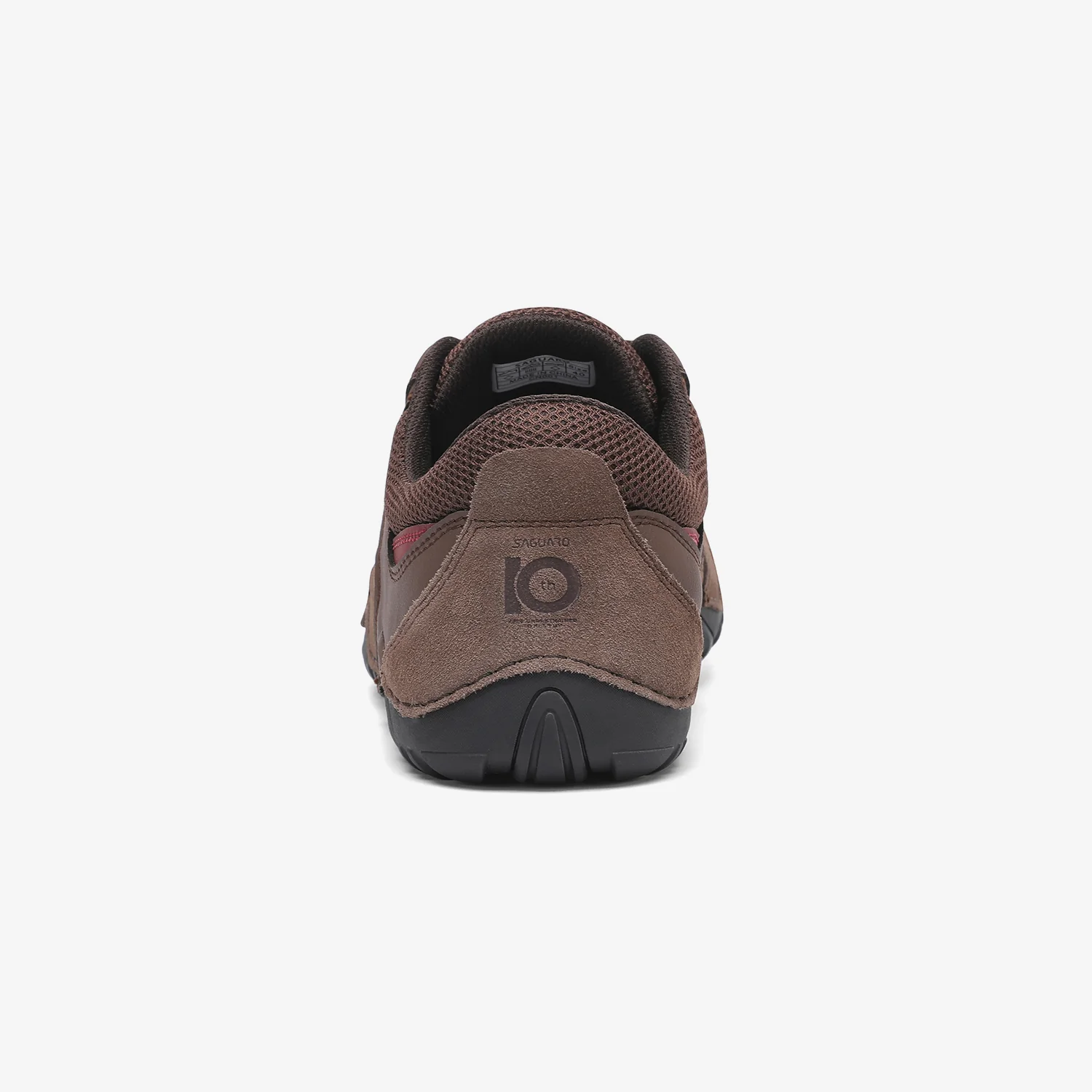 Terra I  - 10th Anniversary Edition - Image 6