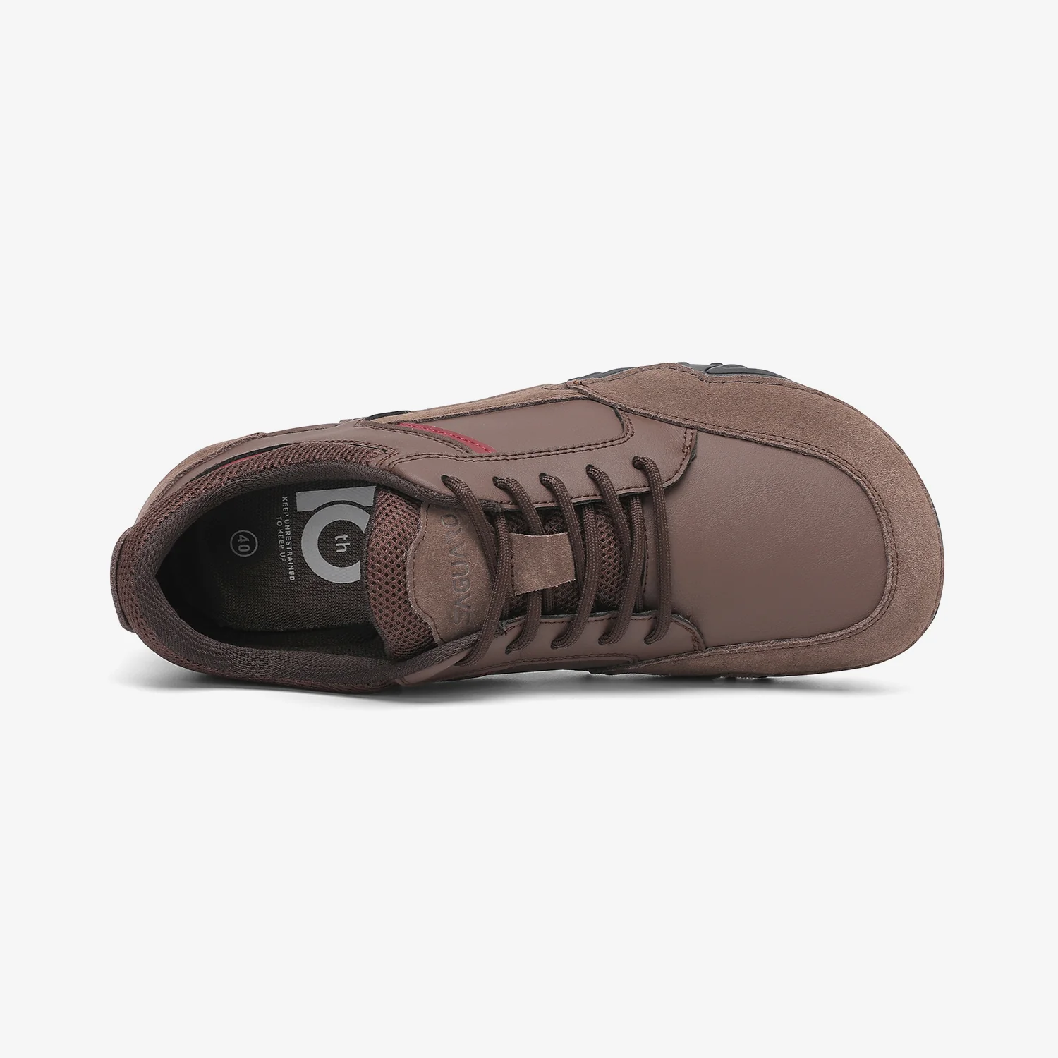 Terra I  - 10th Anniversary Edition - Image 7